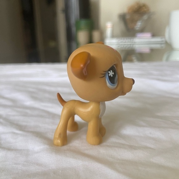 Littlest Pet Shop LPS #498 Tan Greyhound Dog Flower Eyes - Picture 7 of 9